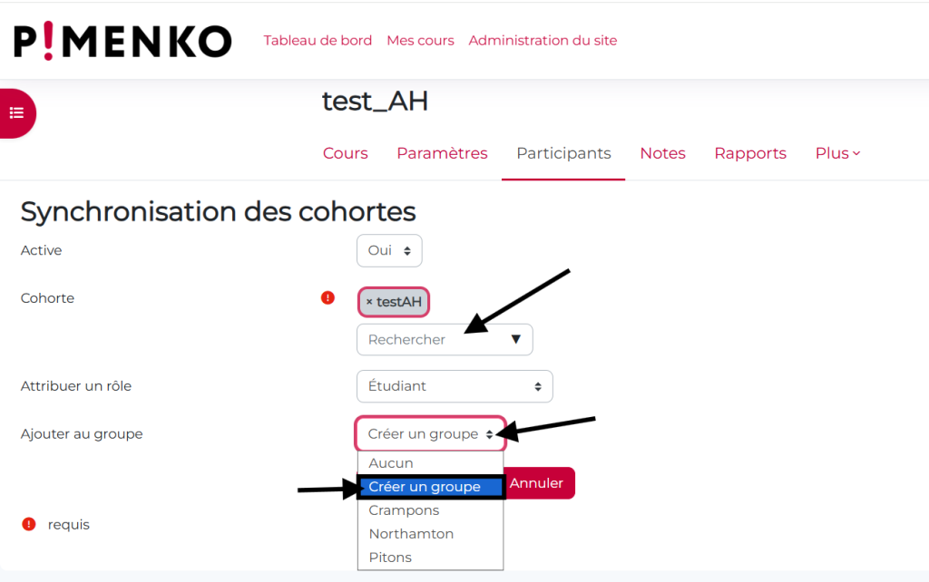 création groupe cohorte