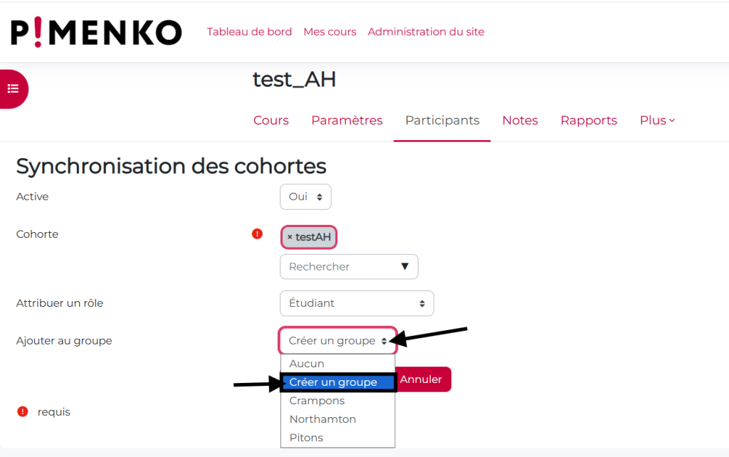 création groupe cohorte