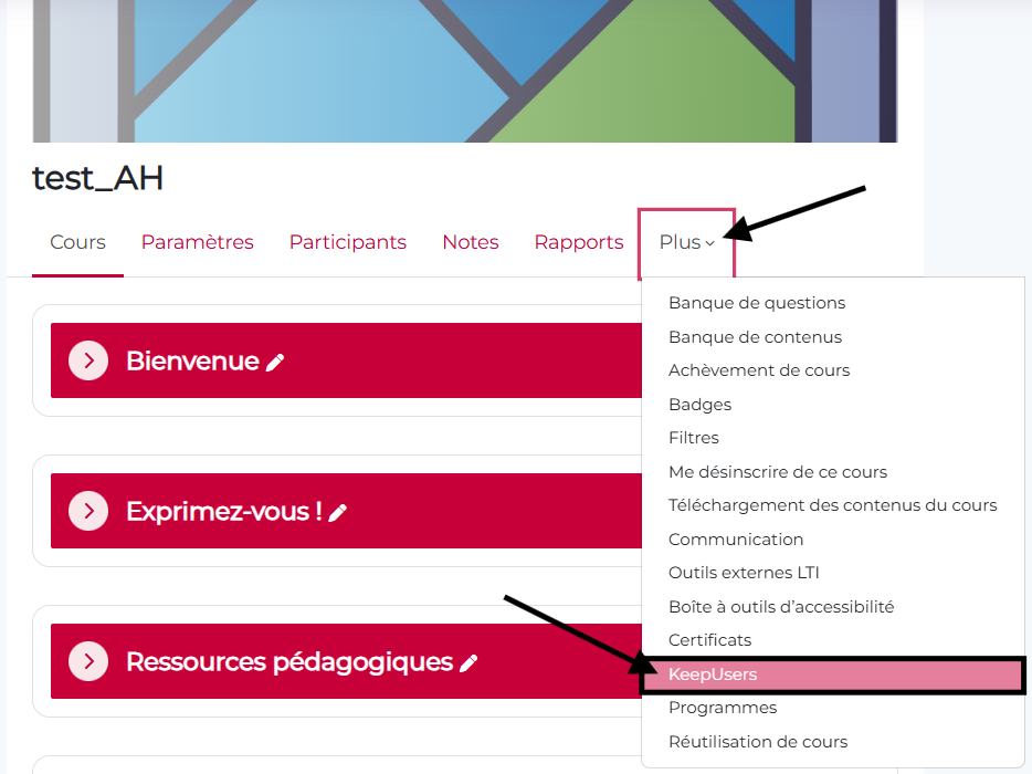 Comment trouver Keepusers dans un cours Moodle
