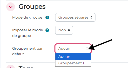 Choix de l'option "Groupement par défaut" dans le cours