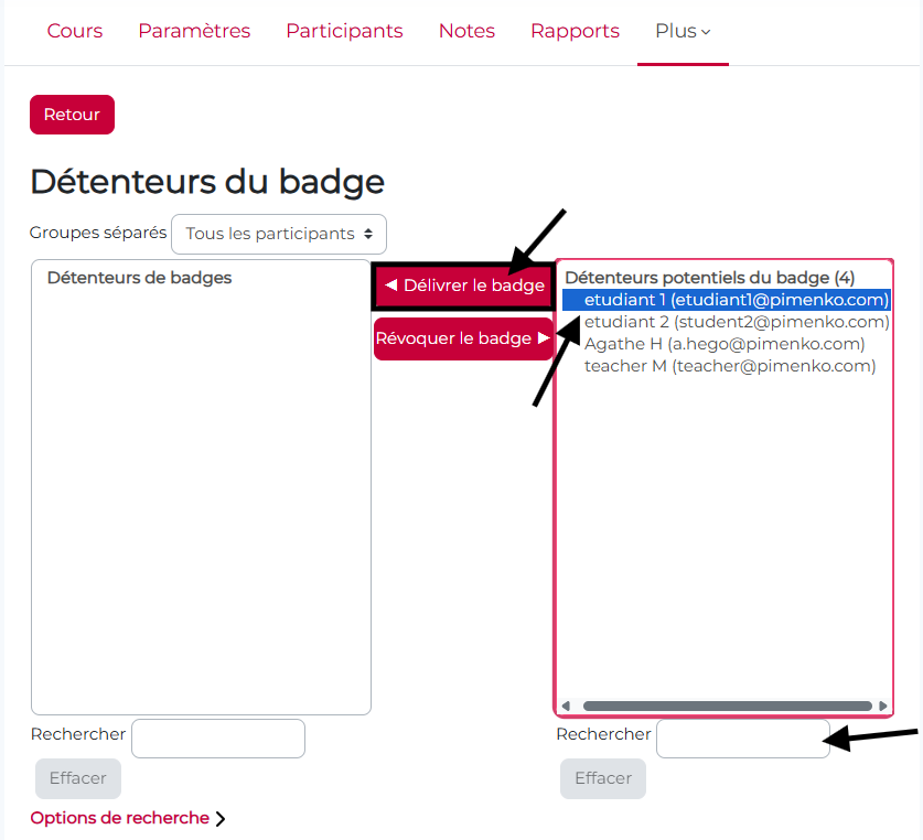 Attribution manuelle du badge aux utilisateurs