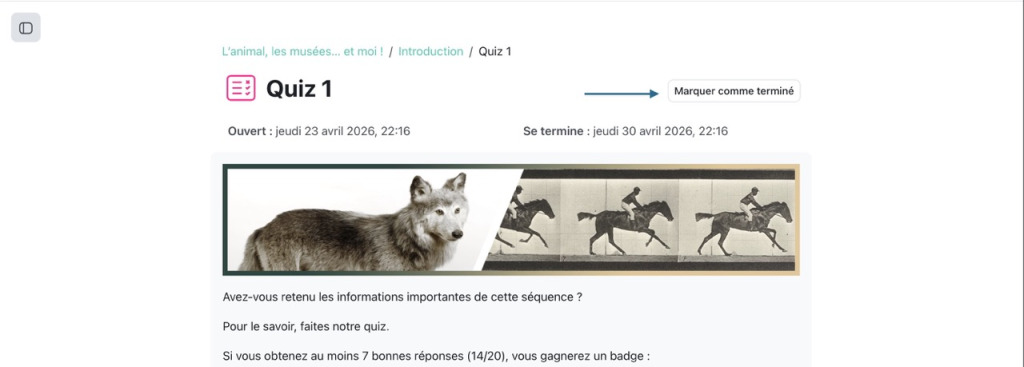 Bouton Marquer comme terminé en en-tête d'activité dans Moodle 5.2