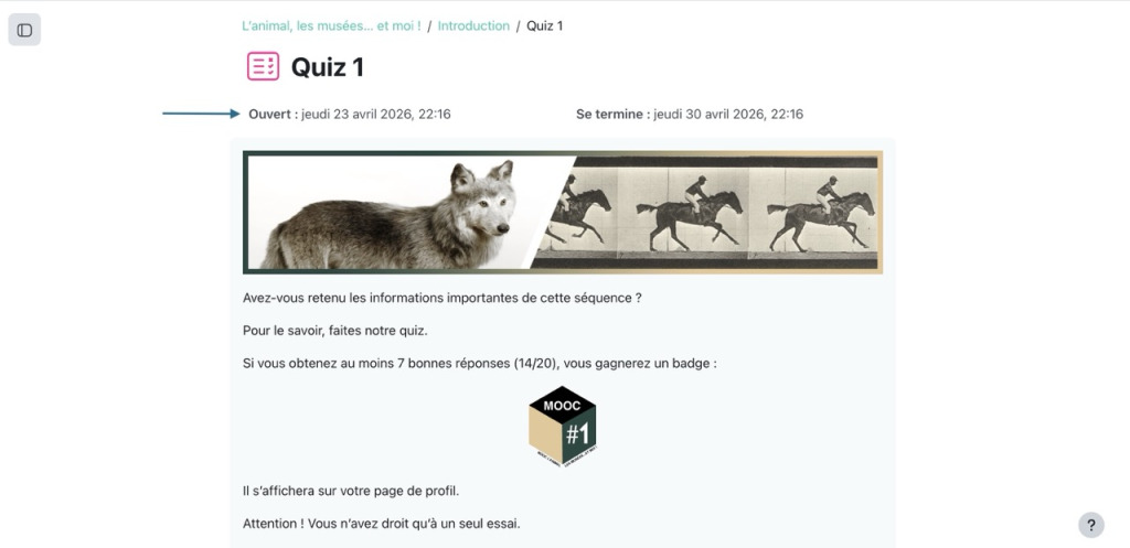 Dates d'ouverture et fermeture affichées sous le titre d'activité dans Moodle 5.2