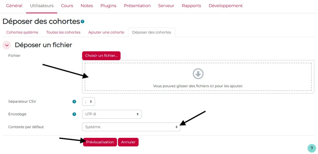 Déposer un fichier csv pour ajout de cohortes